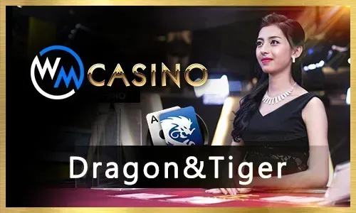 Exciting Jili FB777 Slot Games